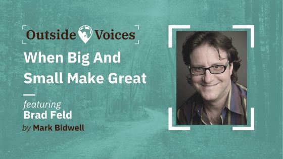 Brad Feld: When Big and Small Make Great - OutsideVoices Podcast with Mark Bidwell